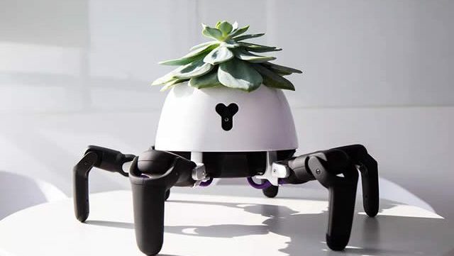 robot-plante-soleil