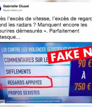 regards-appuyes-loi-schiappa-fake-news