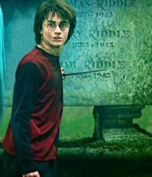 harry-potter-4-theorie