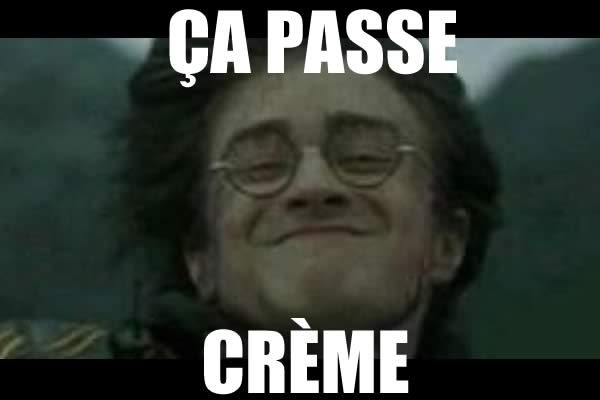 meme-harry-potter