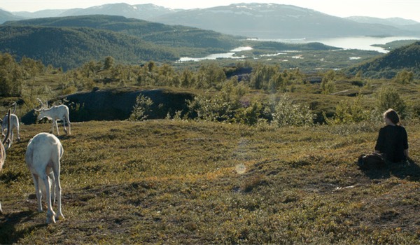 sami-jeunesse-laponie