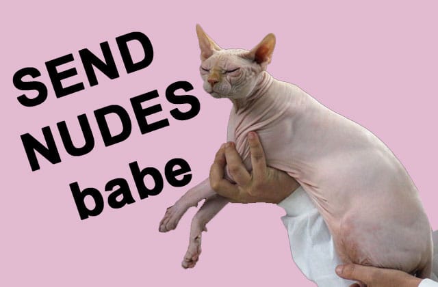 send-nudes