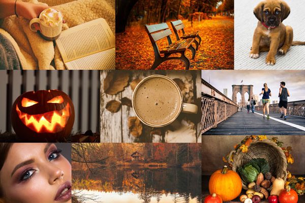 vision board automne vision board automne
