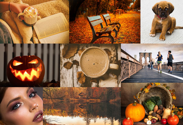 vision board automne