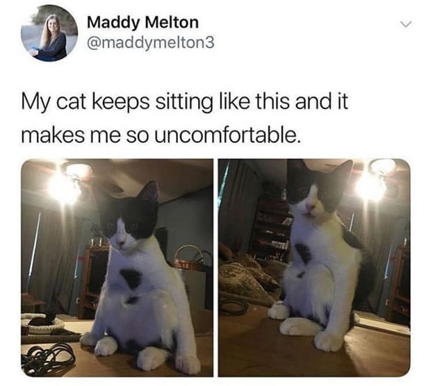 051103 051103