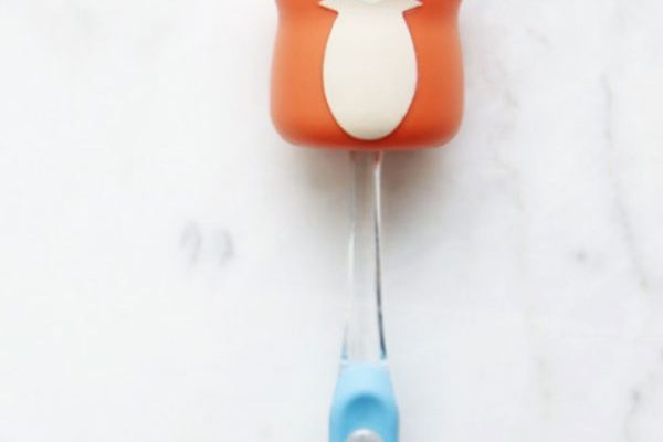 porte brosse à dents renard