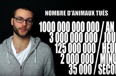 nombre-animaux-tues-jour-heure-minute-seconde nombre-animaux-tues-jour-heure-minute-seconde