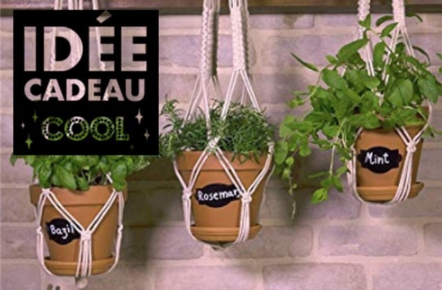 suspension-plante-idee-cadeau