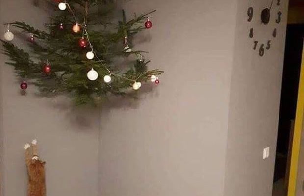 101206 101206
