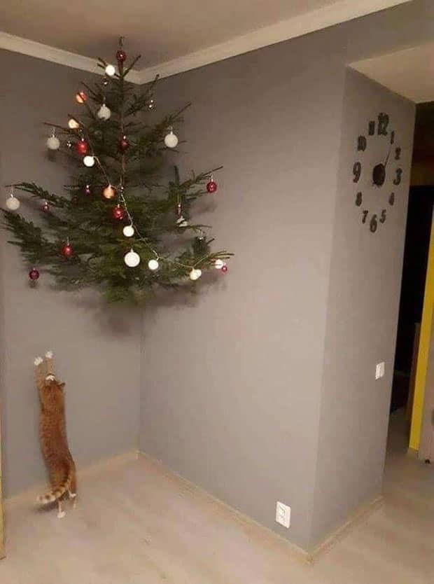 101206 101206