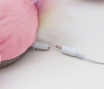 bon-plan-licorne bon-plan-licorne