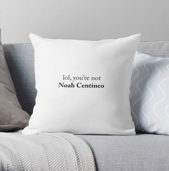 coussin noah centineo