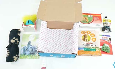 miaoubox miaoubox