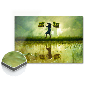 imprimer photo sur aluminium imprimer photo sur aluminium