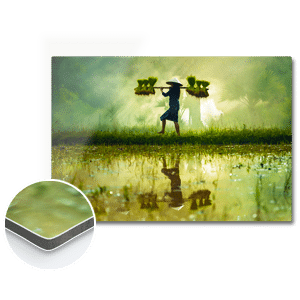 imprimer photo sur aluminium