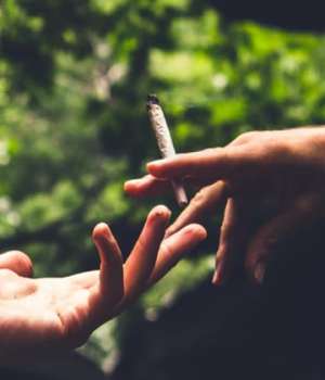 addiction-cannabis-temoignage