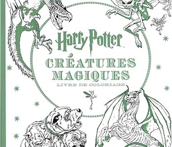 harrypotter coloriage harrypotter coloriage