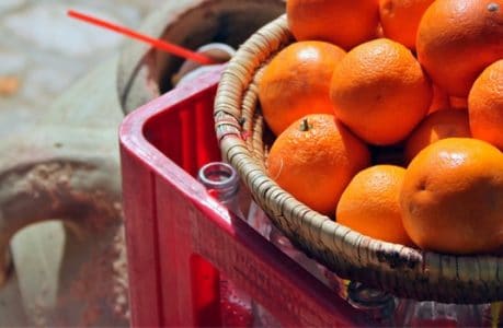 oranges oranges
