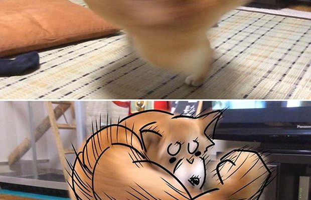 230405 230405