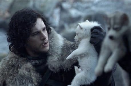 direwolves direwolves