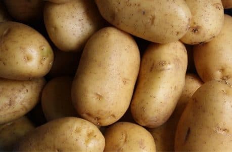 patates patates