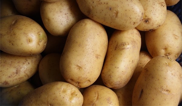 patates patates