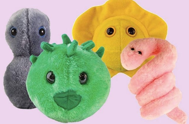 peluche-ist-infection-sexuellement-transmissible