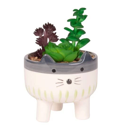 plante-artificielle-chat