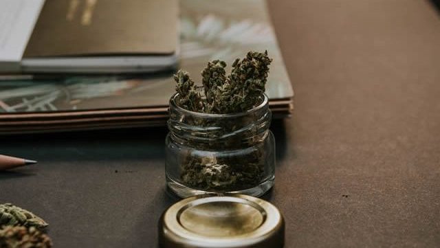 legalisation-cannabis-france