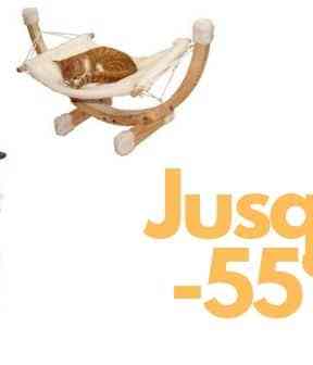 jouets-chats-promotions-rs