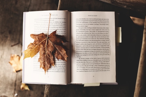 fall-book fall-book