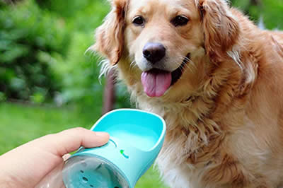 Bouteille d'eau pour chien, entre 6,65€ et 8,32€ (au lieu de 9,78€ à 12,24€)