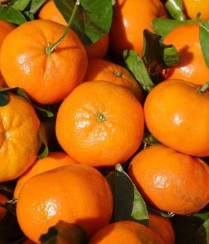 difference-clementine-mandarine