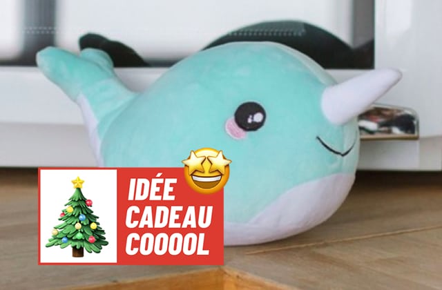 idée cadeau cool Noël