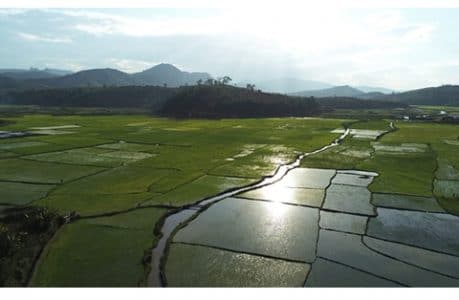 huiles-vegetales-mira-1 huiles-vegetales-mira-1