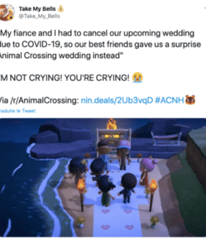 « animal-crossing-mariage-confinement-1 »