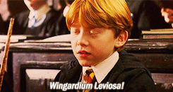 TEST — À quelle maison hybride d&rsquo;Harry Potter le Choixpeau vous assignerait-il ?