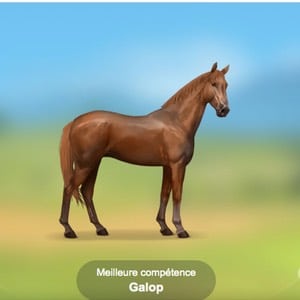 Quelle fan de poney es-tu ?