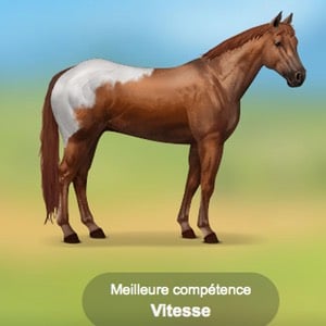 Quelle fan de poney es-tu ?
