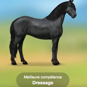 Quelle fan de poney es-tu ?