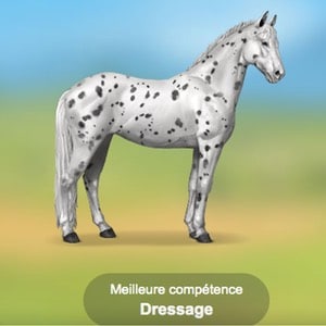 Quelle fan de poney es-tu ?