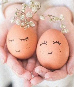 bienfaits œufs beauté
