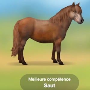 Quelle fan de poney es-tu ?