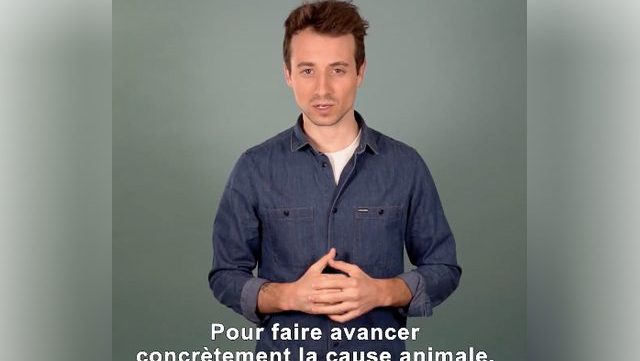 hugo-clement-cause-animale