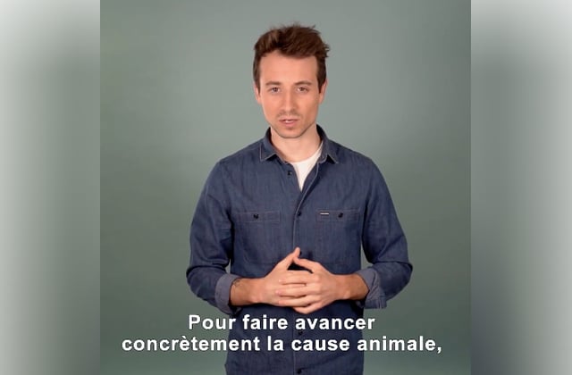 hugo-clement-cause-animale