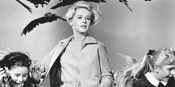 tippi-hedren-les-oiseaux