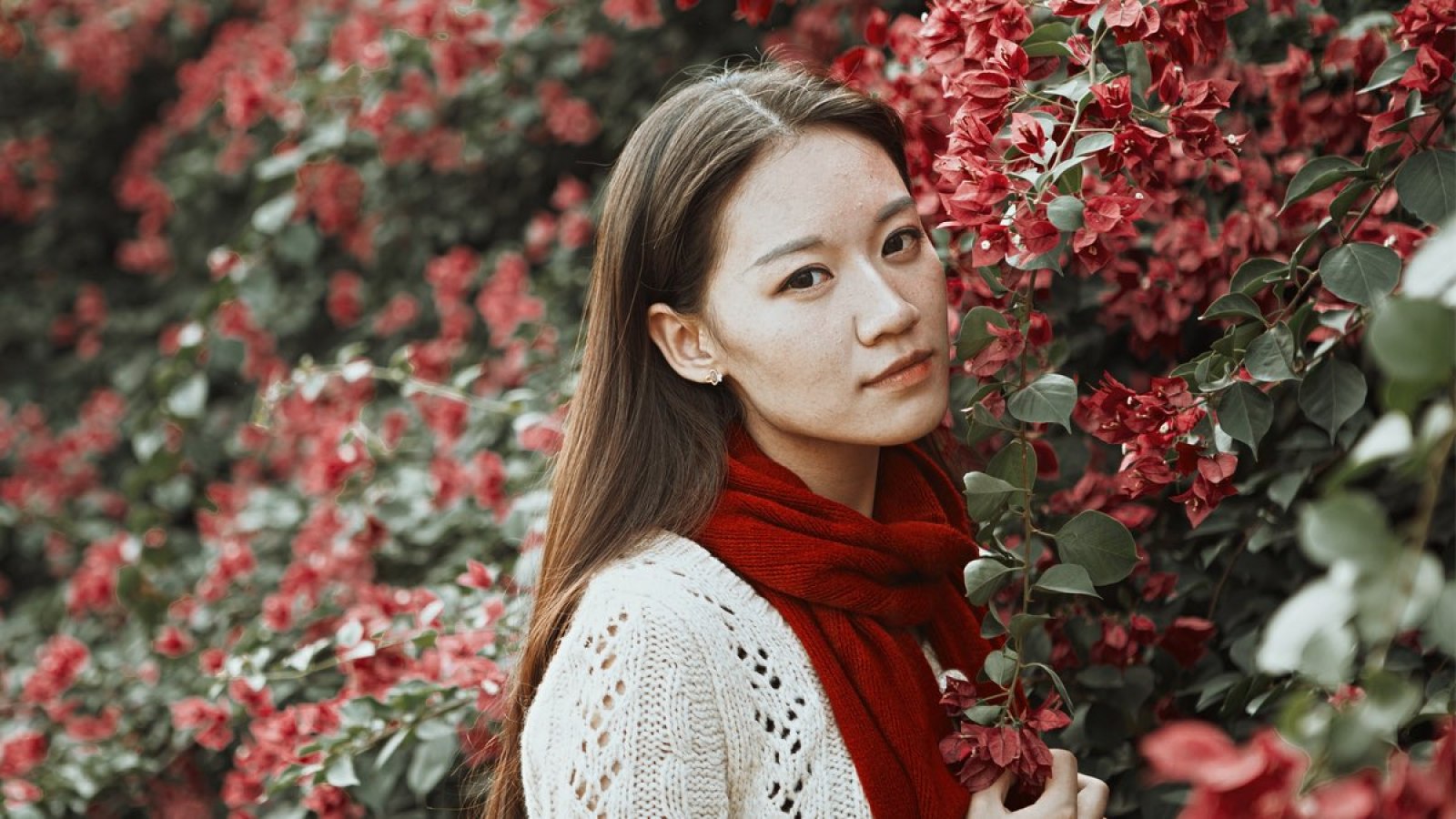 VIRGINIT ET 1E FOIS visual data 6