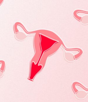 illustration d'uterus illustration d'uterus
