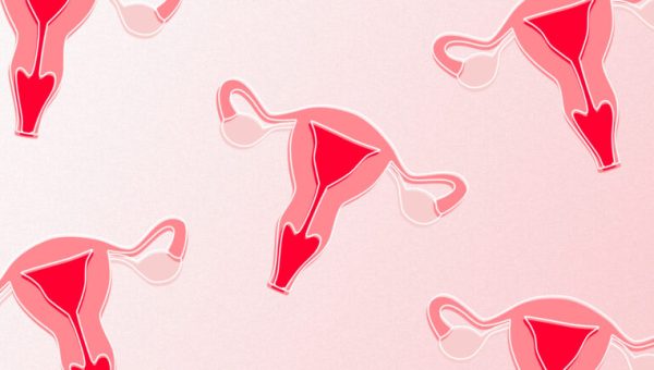 illustration d'uterus