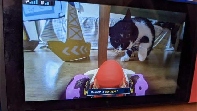 mario-kart-home-circuit-chat-petit-appartement